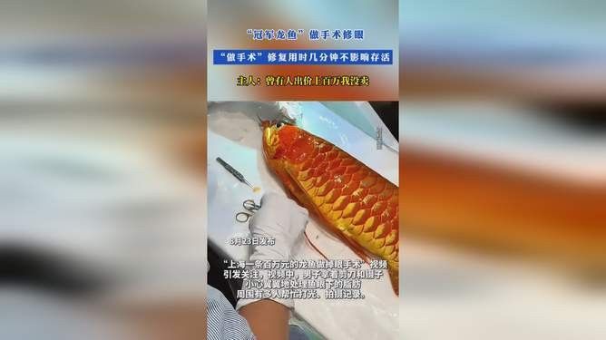 龍魚手術后多久恢復？（魚手術后的恢復時間取決于多種因素）