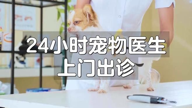 如何預約銘龍漁場的上門救治服務？（廊坊銘龍漁場上門救治服務）