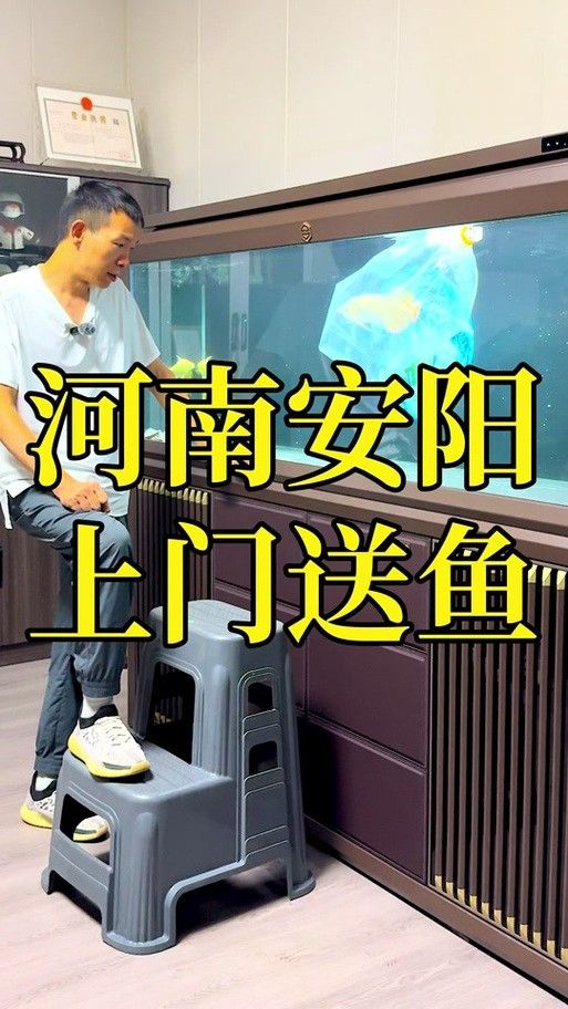如何預約銘龍漁場的上門救治服務？（廊坊銘龍漁場上門救治服務）