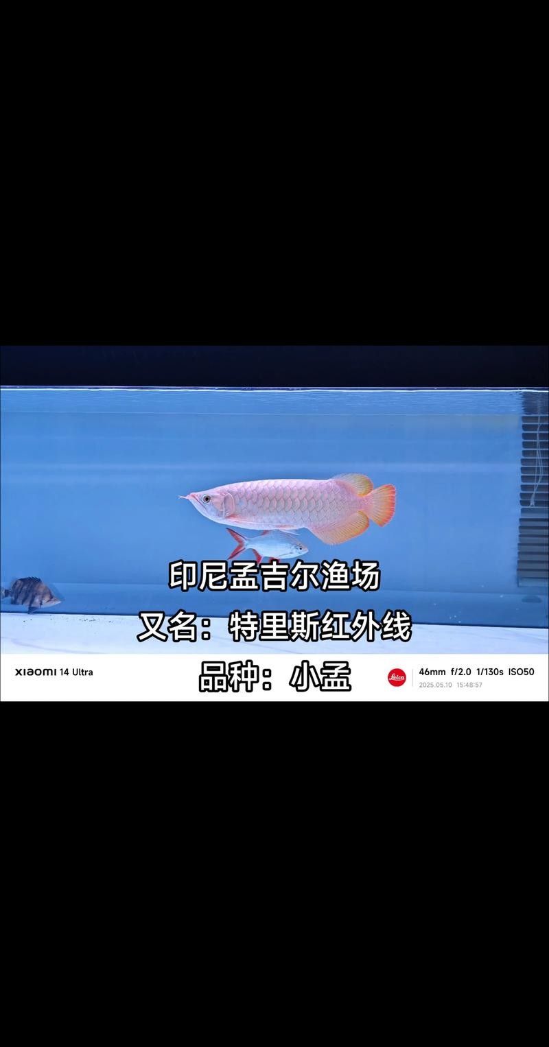 如何預約銘龍漁場的上門救治服務？（廊坊銘龍漁場上門救治服務）