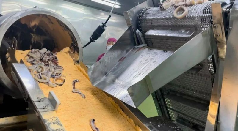 金龍魚專利技術如何轉化成產品（金龍魚專利技術如何轉化成產品？） 金龍魚專利技術如何轉化成產品（金龍魚專利技術如何轉化成產品？） 龍魚百科 第2張
