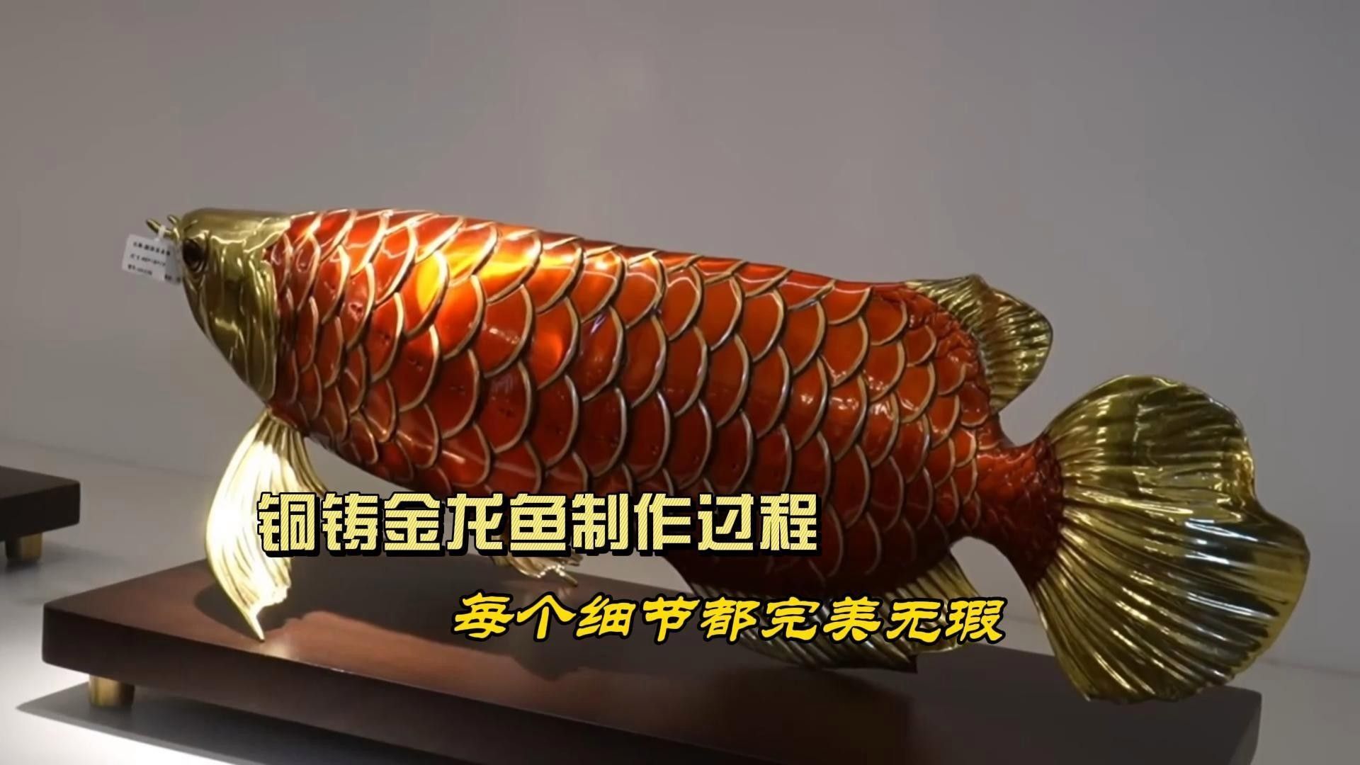 金龍魚專利技術如何轉化成產品（金龍魚專利技術如何轉化成產品？） 金龍魚專利技術如何轉化成產品（金龍魚專利技術如何轉化成產品？） 龍魚百科 第1張