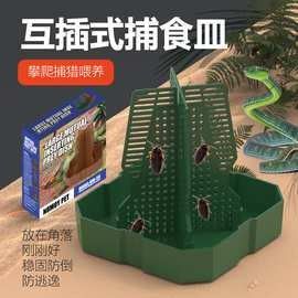 北京和興龍魚(yú)貿(mào)易的蟲(chóng)類有哪些？（北京和興龍魚(yú)貿(mào)易有限公司）