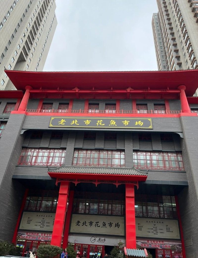 沈陽龍魚市場哪個最靠譜（沈陽龍魚市場哪個市場最靠譜）