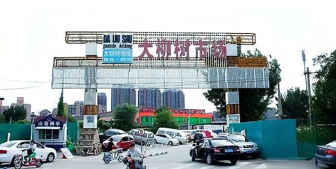 如何聯系北京大型水族市場（北京主要大型水族市場聯系方式及地址信息及地址信息）