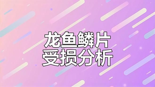 紅龍魚鱗片爛了會傳染嗎（紅龍魚鱗片爛了是否會傳染，取決于爛掉的鱗片是由何種原因造成的） 紅龍魚鱗片爛了會傳染嗎（紅龍魚鱗片爛了是否會傳染，取決于爛掉的鱗片是由何種原因造成的） 龍魚百科 第2張
