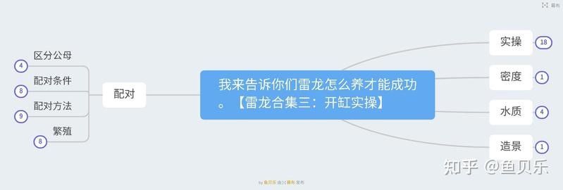 中國雷龍魚多久喂一次？（雷龍魚喂食頻率取決于多種因素，）