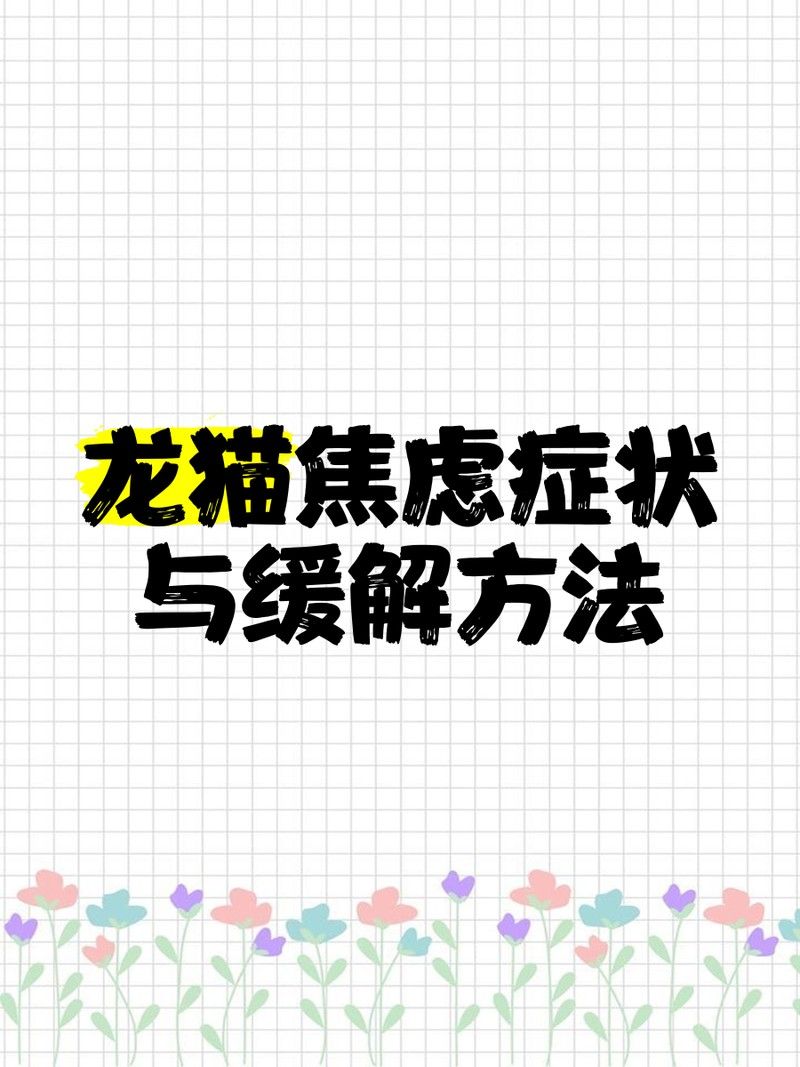龍貓被貓嚇到會留下心理陰影嗎（龍貓被嚇到會留下心理陰影嗎） 龍貓被貓嚇到會留下心理陰影嗎（龍貓被嚇到會留下心理陰影嗎） 龍魚百科 第3張