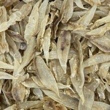 金龍魚膠和北海魚膠的價格差異大嗎（金龍魚膠和北海魚膠的價格差異）