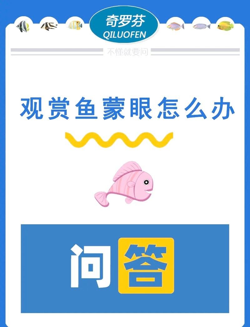 如何預防龍魚眼球變白（如何防治龍魚眼球變白）