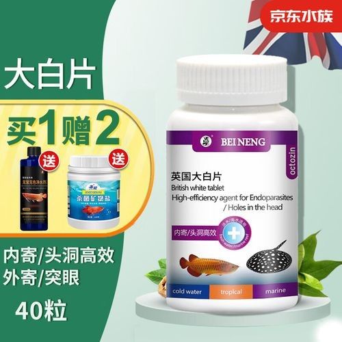 龍魚寄生蟲藥物哪個(gè)品牌好（頭寄生蟲水族新的選擇）