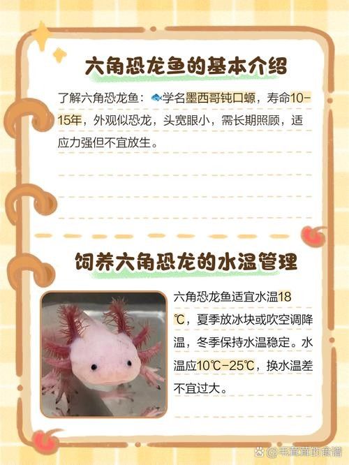 給我一些六角龍魚(yú)高清大圖（高清大圖展示了六角龍魚(yú)的美麗外觀）