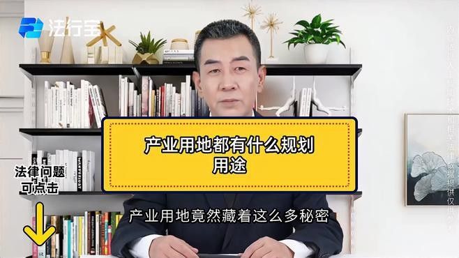 產業城規劃中的主要項目有哪些（產業園規劃中的主要項目） 產業城規劃中的主要項目有哪些（產業園規劃中的主要項目） 龍魚百科 第2張