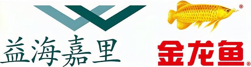 金龍魚生產基地有哪些（新浪財經，金龍魚食品集團在哪里）