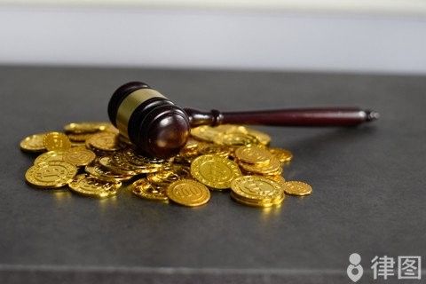 龍龜圖片的版權(quán)費(fèi)用大概是多少（一張圖片版權(quán)費(fèi)用多少？）