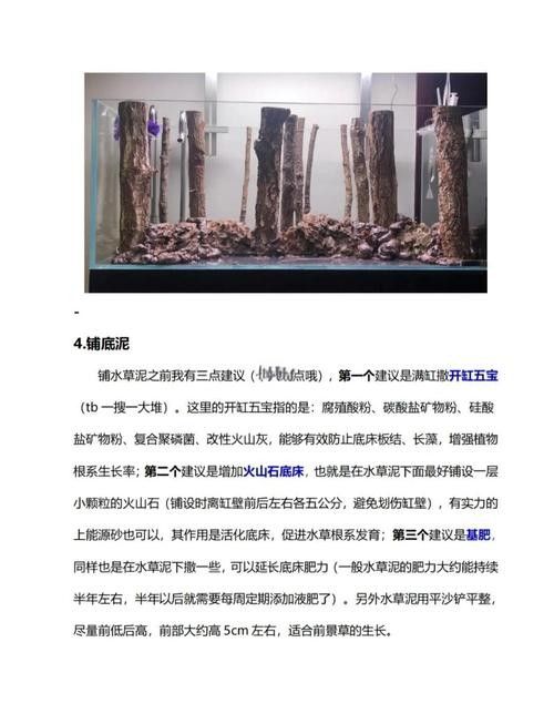 如何保持繁殖缸水質穩定？（空氣缸水質如何保持穩定）