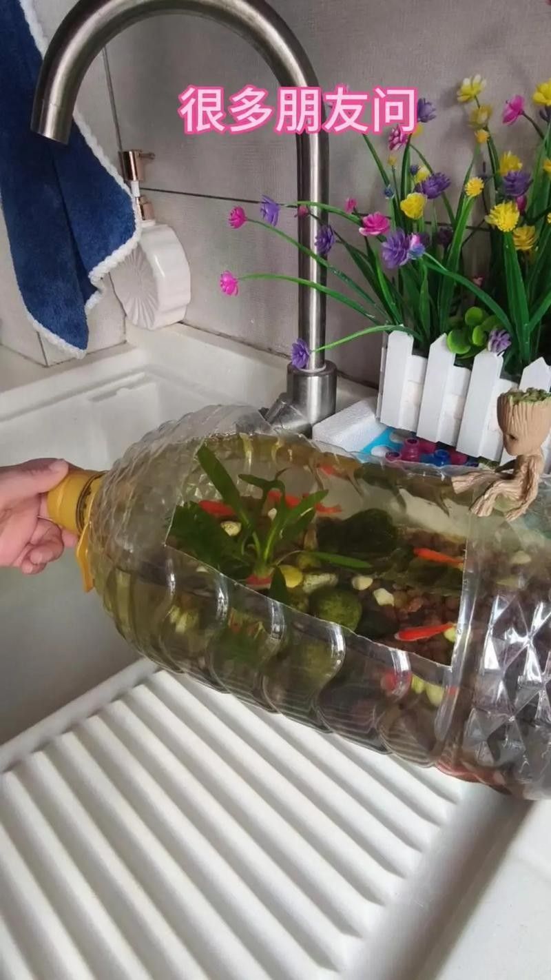 如何保持繁殖缸水質穩定？（空氣缸水質如何保持穩定）