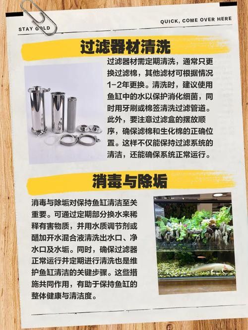 如何保持繁殖缸水質穩定？（空氣缸水質如何保持穩定）
