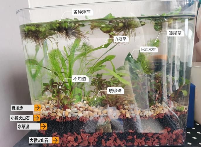 如何保持繁殖缸水質穩定？（空氣缸水質如何保持穩定）