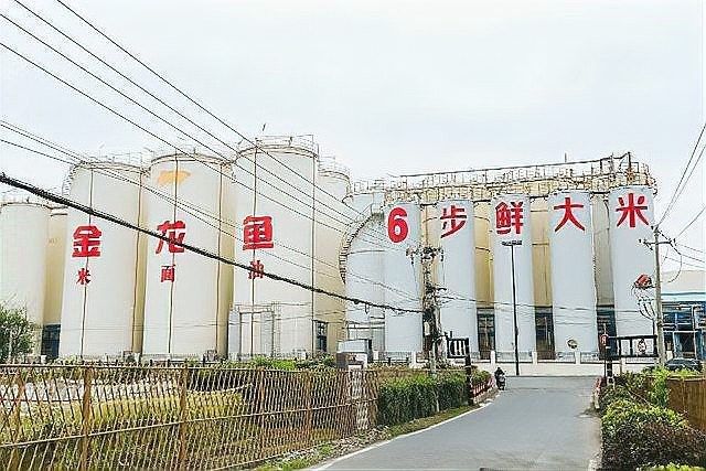 金龍魚廚房食品業務未來增長預期（金龍魚廚房食品業務未來發展充滿潛力）