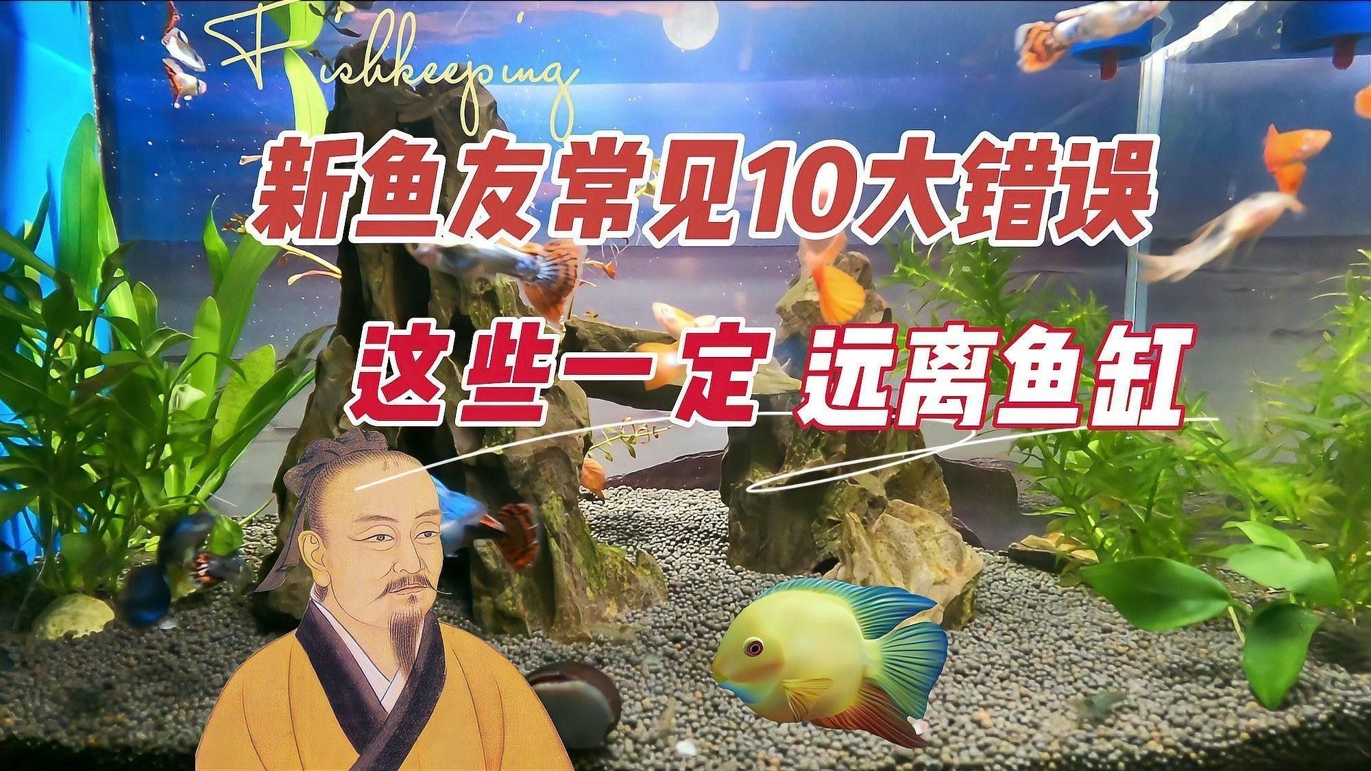 如何選擇適合自己的觀賞魚（怎樣選擇適合自己的觀賞魚） 如何選擇適合自己的觀賞魚（怎樣選擇適合自己的觀賞魚） 龍魚百科 第10張