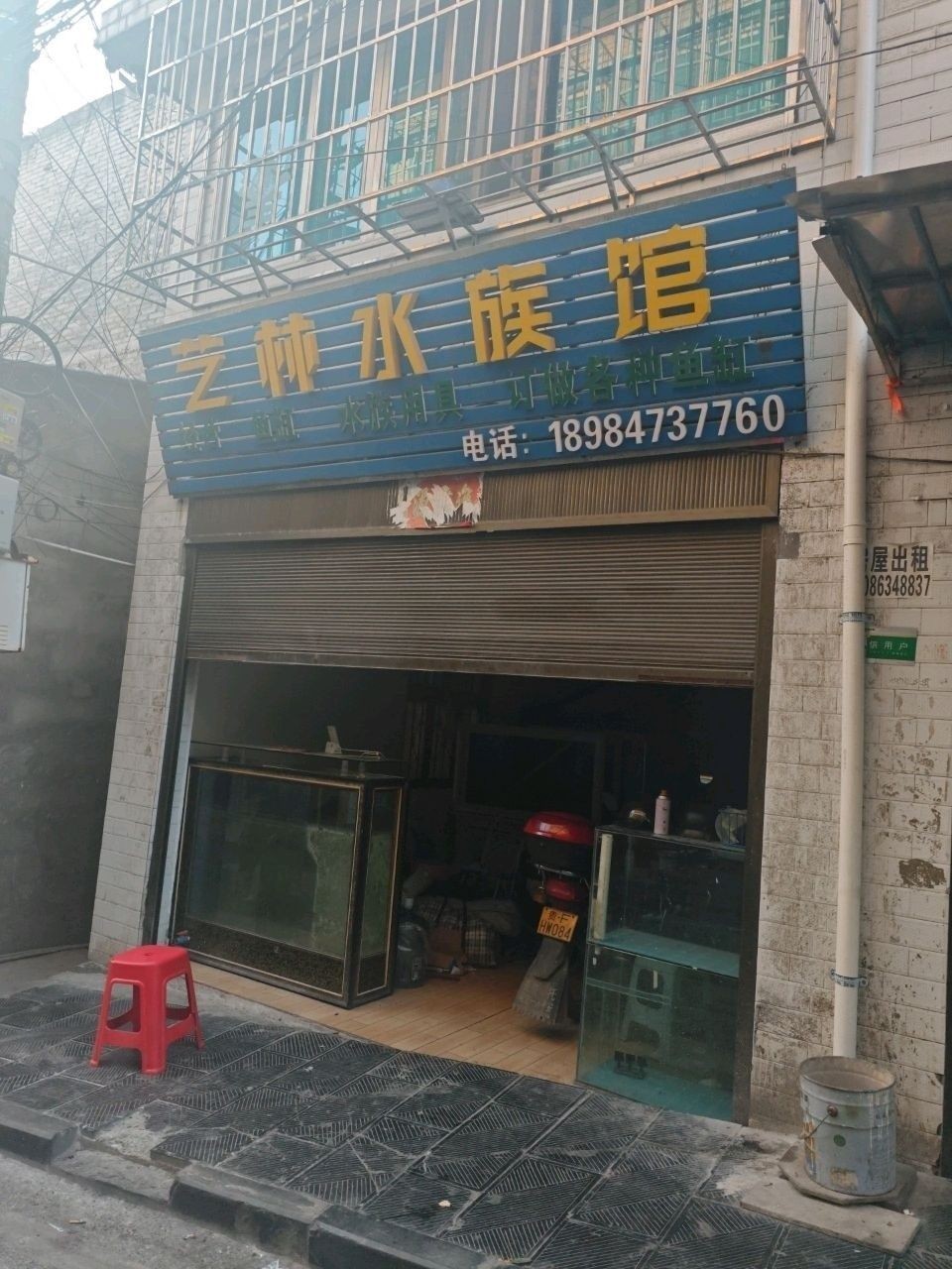 大方哪個水族館龍魚好？祥龍魚場龍魚（廣州龍魚養殖的奧秘：祥龍水族館—祥龍水族館） 大方哪個水族館龍魚好？祥龍魚場龍魚（廣州龍魚養殖的奧秘：祥龍水族館—祥龍水族館） 龍魚百科 第1張