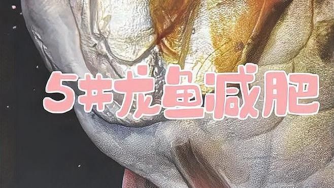 如何控制龍魚的體型（如何控制龍魚體型）