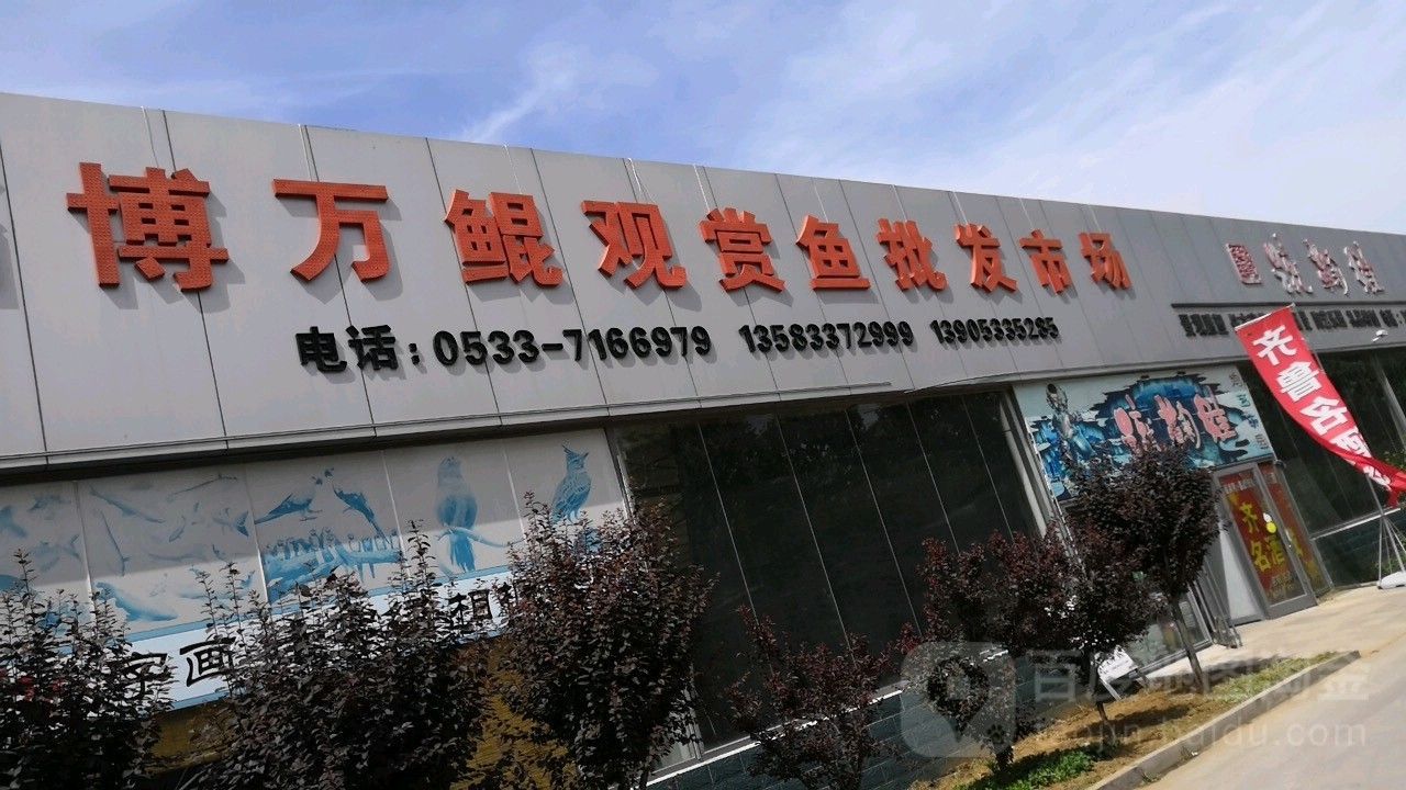 臨淄萬鯤觀賞魚市場(chǎng)的營(yíng)業(yè)時(shí)間是（臨淄萬鯤觀賞魚市場(chǎng)的地址） 臨淄萬鯤觀賞魚市場(chǎng)的營(yíng)業(yè)時(shí)間是（臨淄萬鯤觀賞魚市場(chǎng)的地址） 龍魚百科