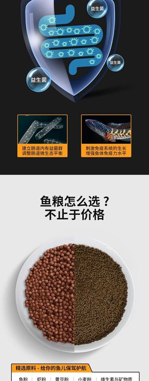 哪些飼料適合龍魚（龍魚吃些什么飼料寵物新知說）