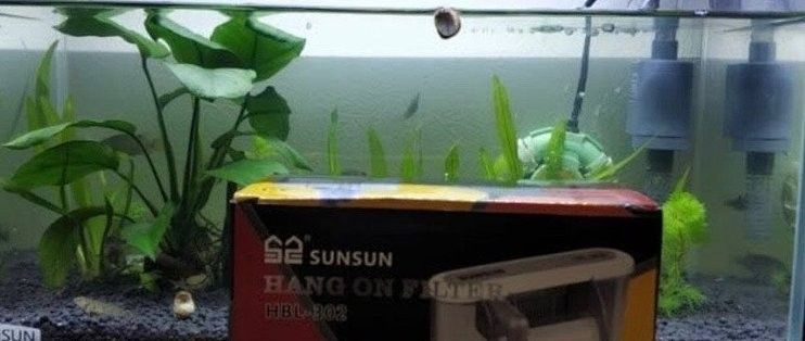 森森龍魚過濾器哪個系列最好？（森森水族過濾器哪個型號好）