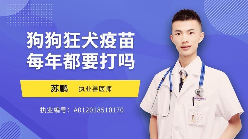 保定有沒有推薦的龍魚獸醫？（保定龍魚獸醫哪里找？） 保定有沒有推薦的龍魚獸醫？（保定龍魚獸醫哪里找？） 龍魚百科 第8張
