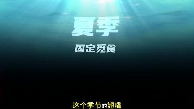 什么季節(jié)釣龍魚(yú)翹嘴最好（釣龍魚(yú)和翹嘴的最佳季節(jié)是幾月份到幾月份知了愛(ài)學(xué)）