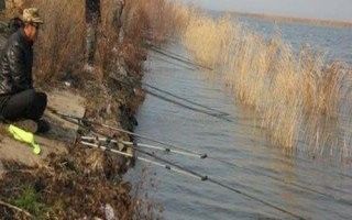 什么季節(jié)釣龍魚(yú)翹嘴最好（釣龍魚(yú)和翹嘴的最佳季節(jié)是幾月份到幾月份知了愛(ài)學(xué)）