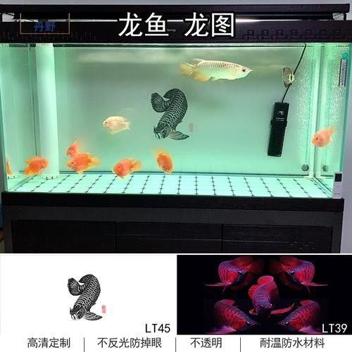 紅龍魚壁紙的價格范圍（紅龍魚壁紙價格范圍）