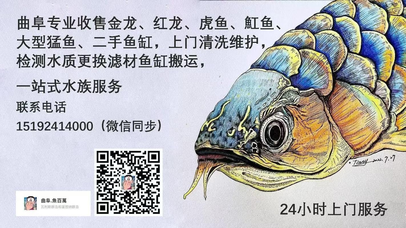 如何聯系創新龍魚會館進行回收？（創新龍魚會館如何聯系創新龍魚會館進行回收的詳細步驟）