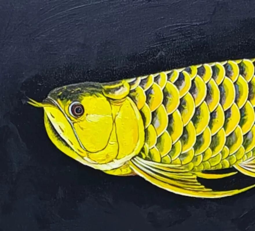 如何聯系創新龍魚會館進行回收？（創新龍魚會館如何聯系創新龍魚會館進行回收的詳細步驟）
