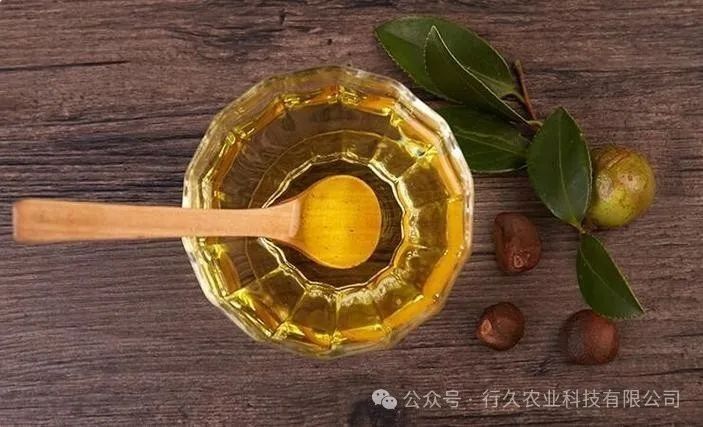 如何判斷油的煙點（如何判斷油煙點）