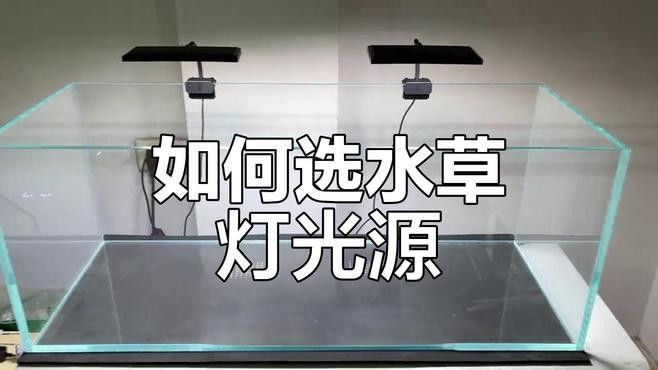 龍魚缸改草缸需要多大的燈（魚缸改草缸需要多大的燈）
