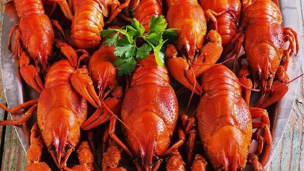 杜龍魚的最佳食用季節(jié)（杜龍魚最佳食用季節(jié)）