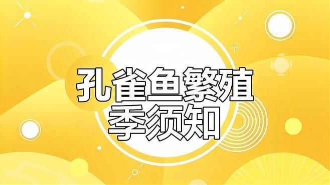 如何設(shè)置繁殖缸的水流？（養(yǎng)魚(yú)老道,魚(yú)缸水流走向與過(guò)濾技巧詳解） 如何設(shè)置繁殖缸的水流？（養(yǎng)魚(yú)老道,魚(yú)缸水流走向與過(guò)濾技巧詳解） 龍魚(yú)百科 第2張