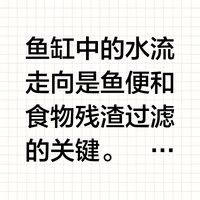 如何設(shè)置繁殖缸的水流？（養(yǎng)魚(yú)老道,魚(yú)缸水流走向與過(guò)濾技巧詳解） 如何設(shè)置繁殖缸的水流？（養(yǎng)魚(yú)老道,魚(yú)缸水流走向與過(guò)濾技巧詳解） 龍魚(yú)百科 第5張