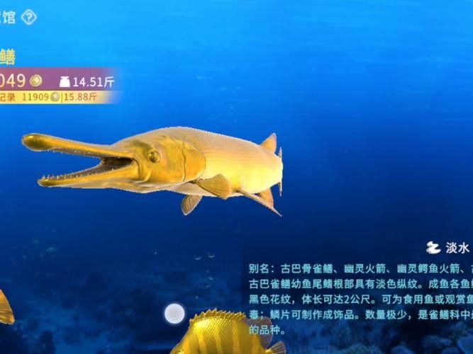 給我一些雀鱔魚圖片（雀鱔魚圖片資源）