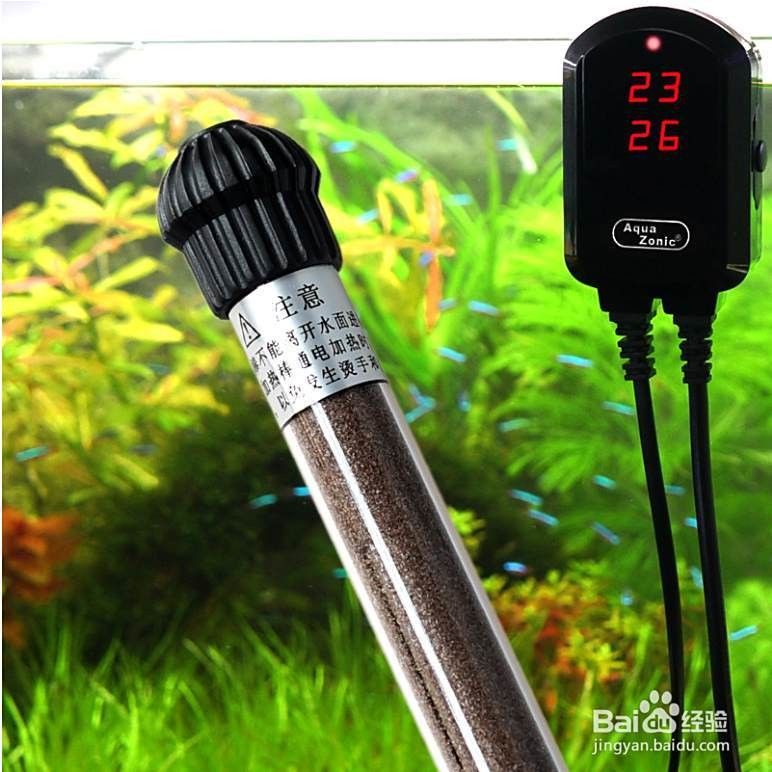 如何設置龍魚缸的加熱棒（魚缸加熱棒怎么設置）
