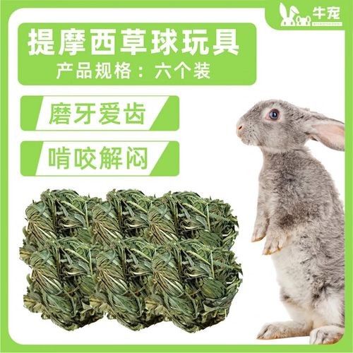 龍貓需要哪些玩具？（龍貓玩具推薦）