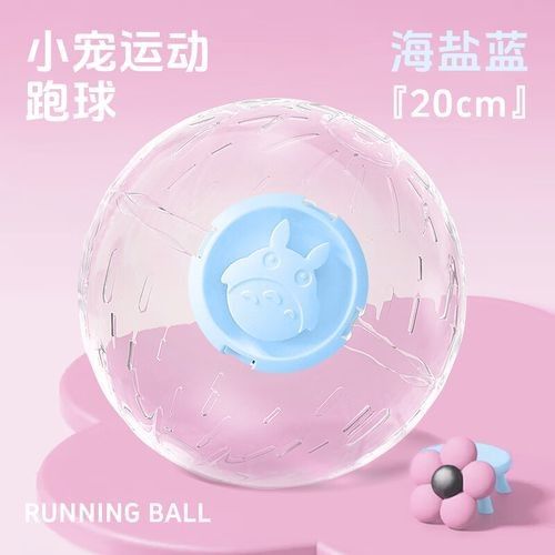 龍貓需要哪些玩具？（龍貓玩具推薦）