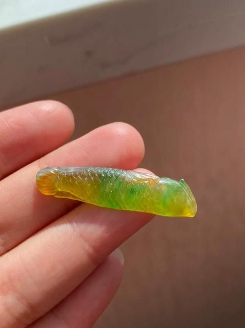 如何鑒別翡翠綠金龍魚品質(zhì)（翡翠綠金龍魚如何鑒別）