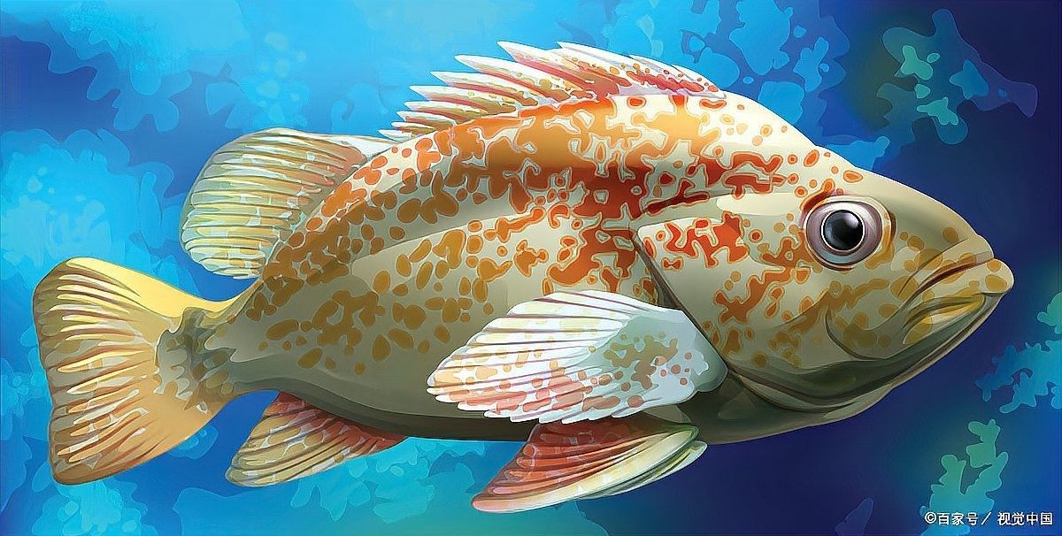 龍魚多久會忘記人工抓握？（關于龍魚多久會忘記人工抓握的問題龍魚爸爸吞卵的驚人舉動）