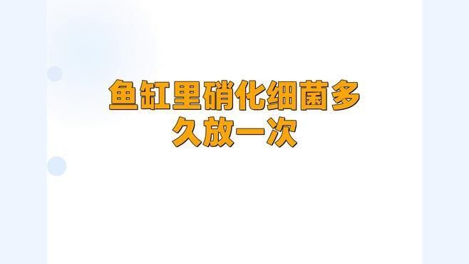 硝化細菌多久補充一次（智匯百科硝化細菌多久加一次九松健康魚缸硝化細菌多久放一次）