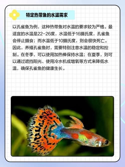 如何預防古龍魚水溫波動（廣州龍魚祥龍魚祥龍魚場穩定水溫因品種和生長階段而異）