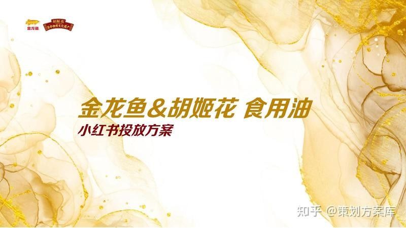 金龍魚與哪些KOL合作過？（金龍魚與多個關鍵意見領袖合作）